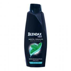 Blendax Erkekler İçin Mentol Ferahlığı Şampuan 500 ml