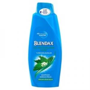 Blendax Saç Dökülmelerine Karşı Isırgan Otu Özlü Şampuan 500 ml